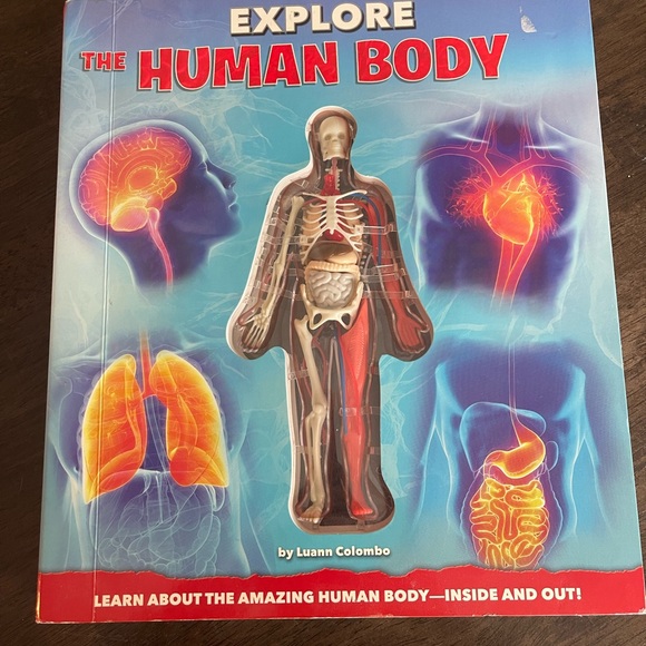 Explore the Human Body by Luann Colombo - Picture 2 of 3